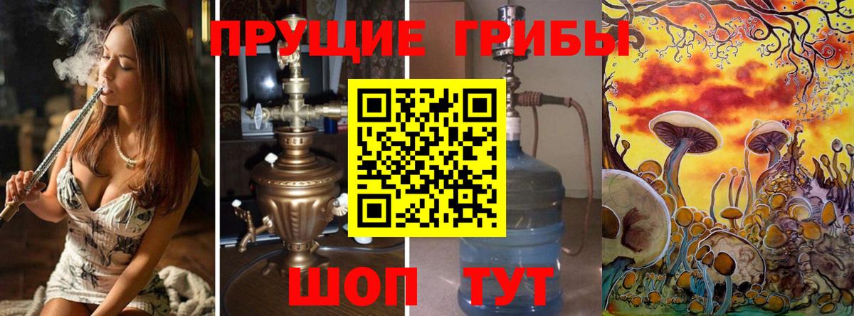Щёлково  Галлюциногенные грибы GOLDEN TEACHER  Вход с VPN 